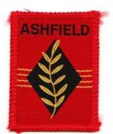 ASHFIELD (Deeper red) (Matt)