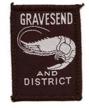 GRAVESEND AND DISTRICT (Ext ++)