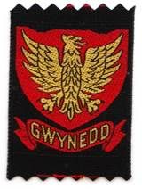 GWYNEDD (R) (Ext)