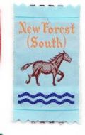 NEW FOREST (SOUTH) (R)